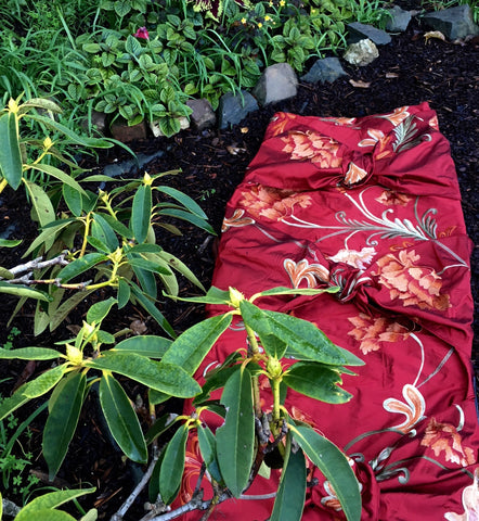 MORT COUTURE™ Luxe Line